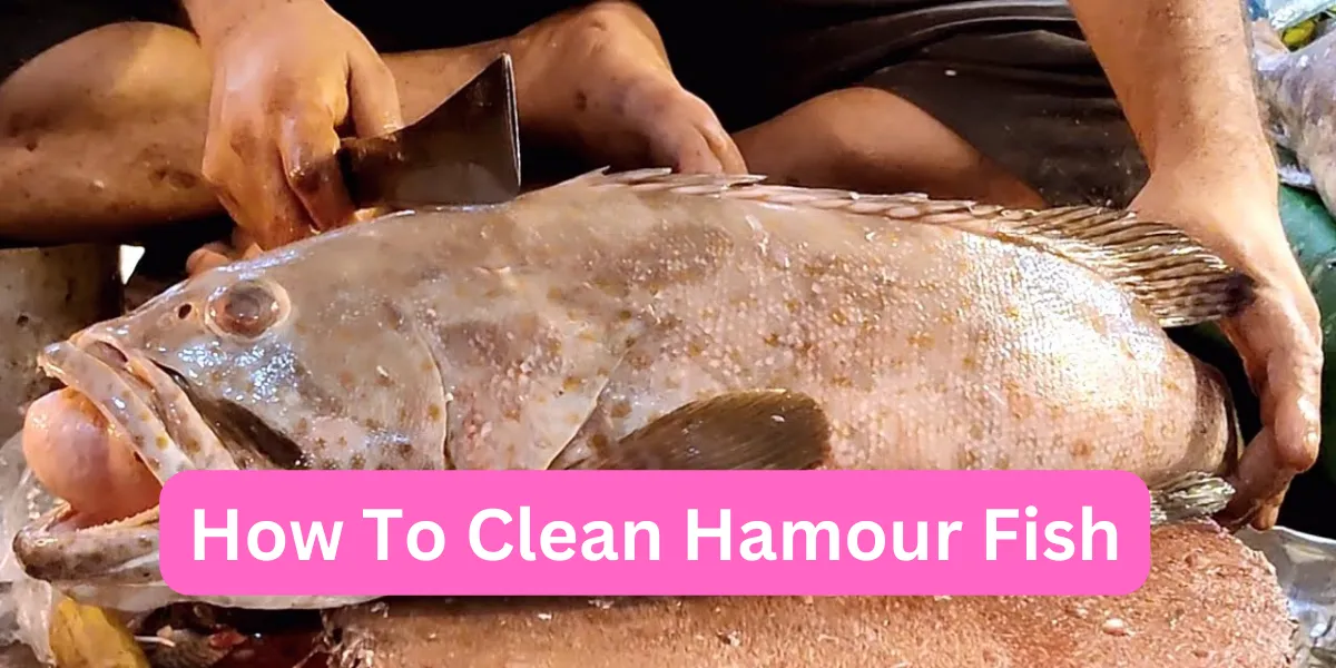 How To Clean Hamour Fish