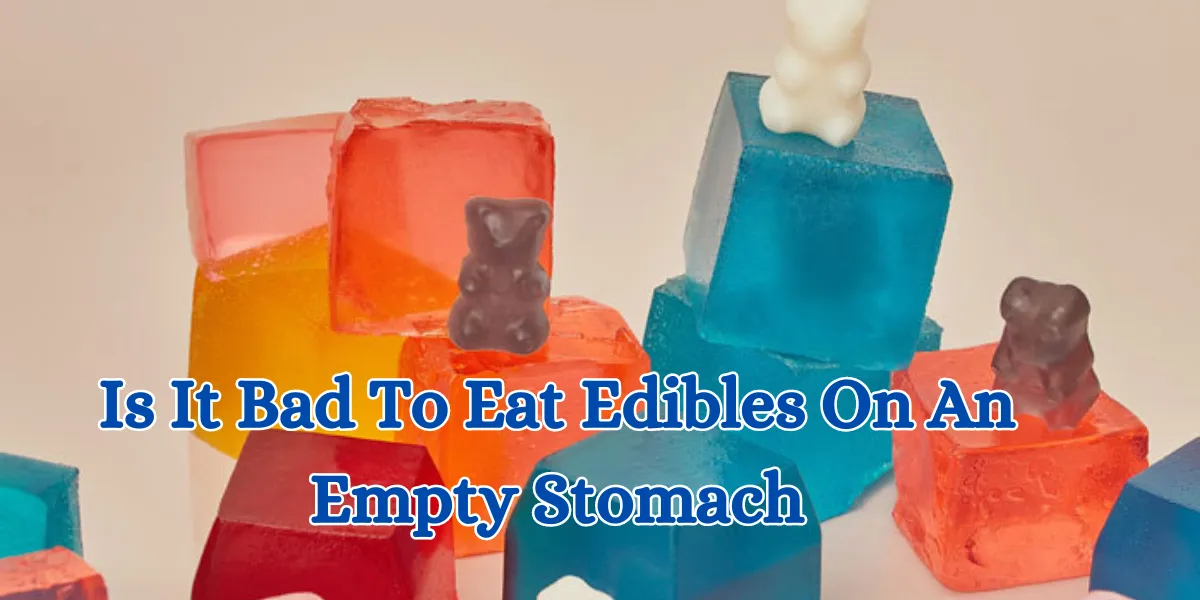 Is It Bad To Eat Edibles On An Empty Stomach