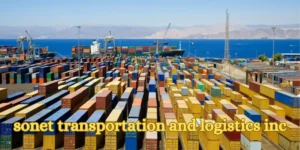 Sonet Transportation and Logistics Incs